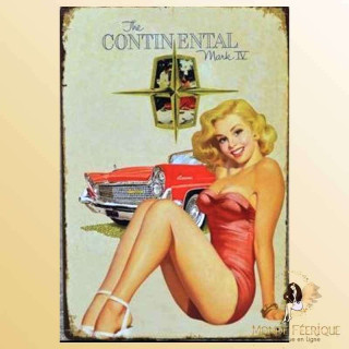plaque metal pin up