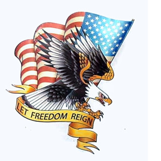 Plaque Vintage USA FREEDOM XL