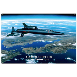 Plaque Métal Décoration Avion de chasse-- 20x30cm