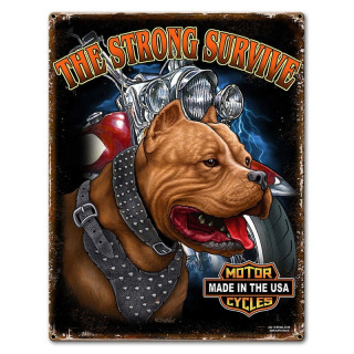 Plaque Vintage Strong-- 20x30cm