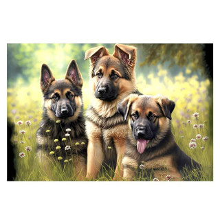 Plaque Métal Vintage Bergers Allemands