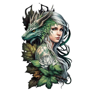 Plaque Métal Elfe et Dragon Vert High