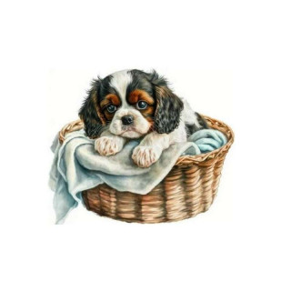 Plaque Rétro Petit Chien dans un Panier 2