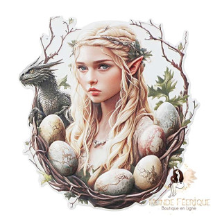 Plaque Elfe & Dragon