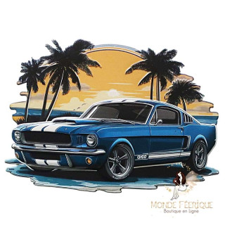 Plaque Vintage Paris Ford Mustang