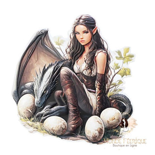 Plaque Fantasy Elfe et Dragon Noir