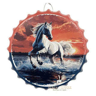 Capsule – Cheval Blanc au Galop dans l’Eau
