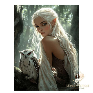 Plaque Murale – Elfe Mystique & Hibou