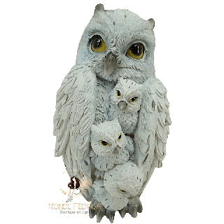Famille De Chouettes Blanches
